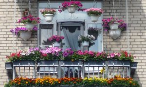 Идеи оформления балкона цветами